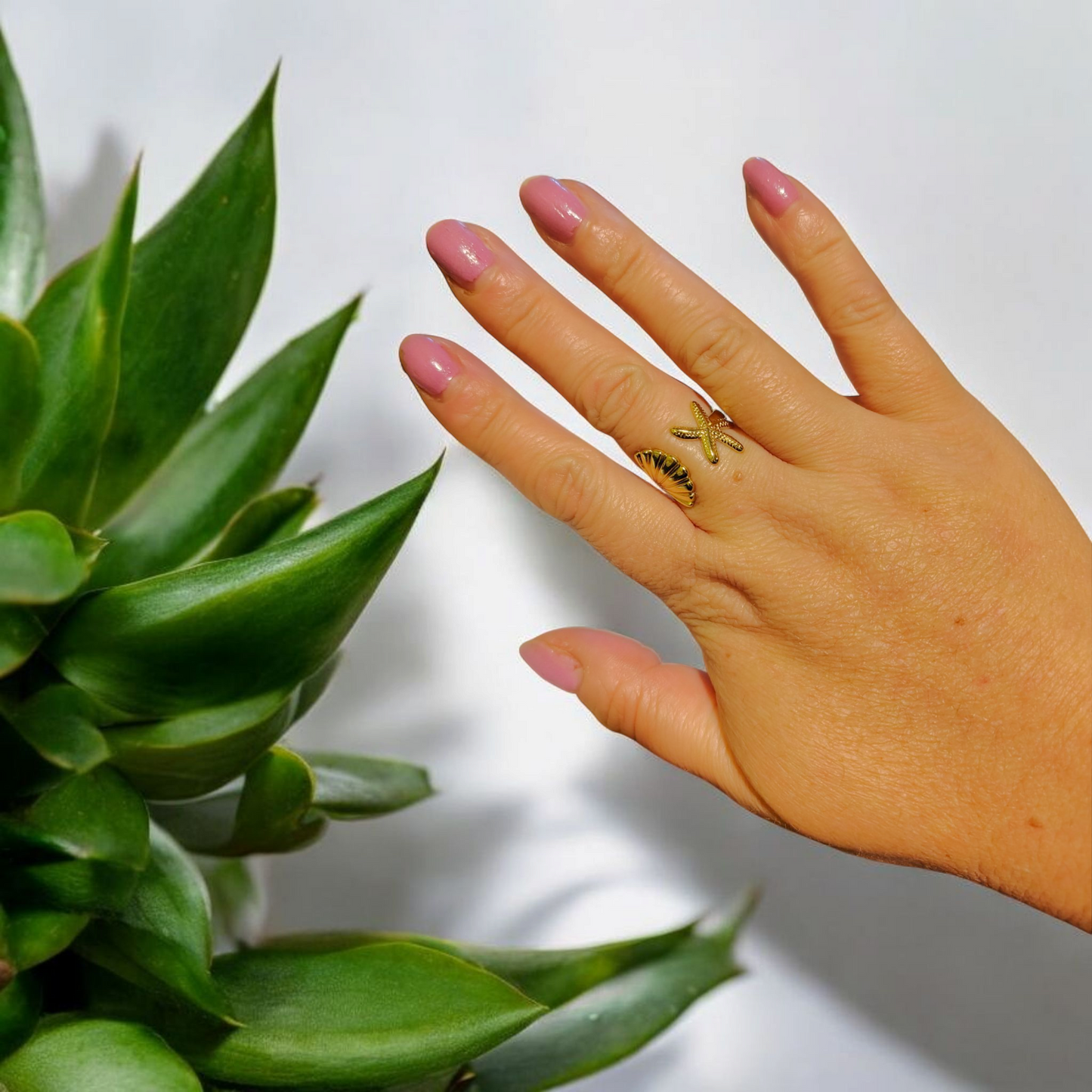 Anillo Coralia